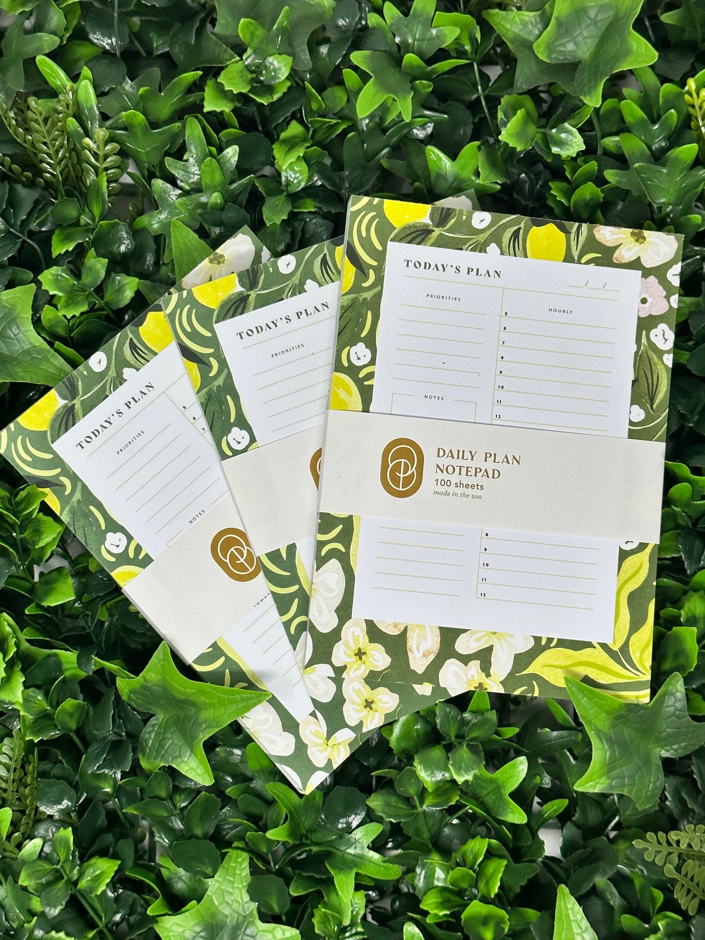 Daily Plan Notepad - Good Thymes