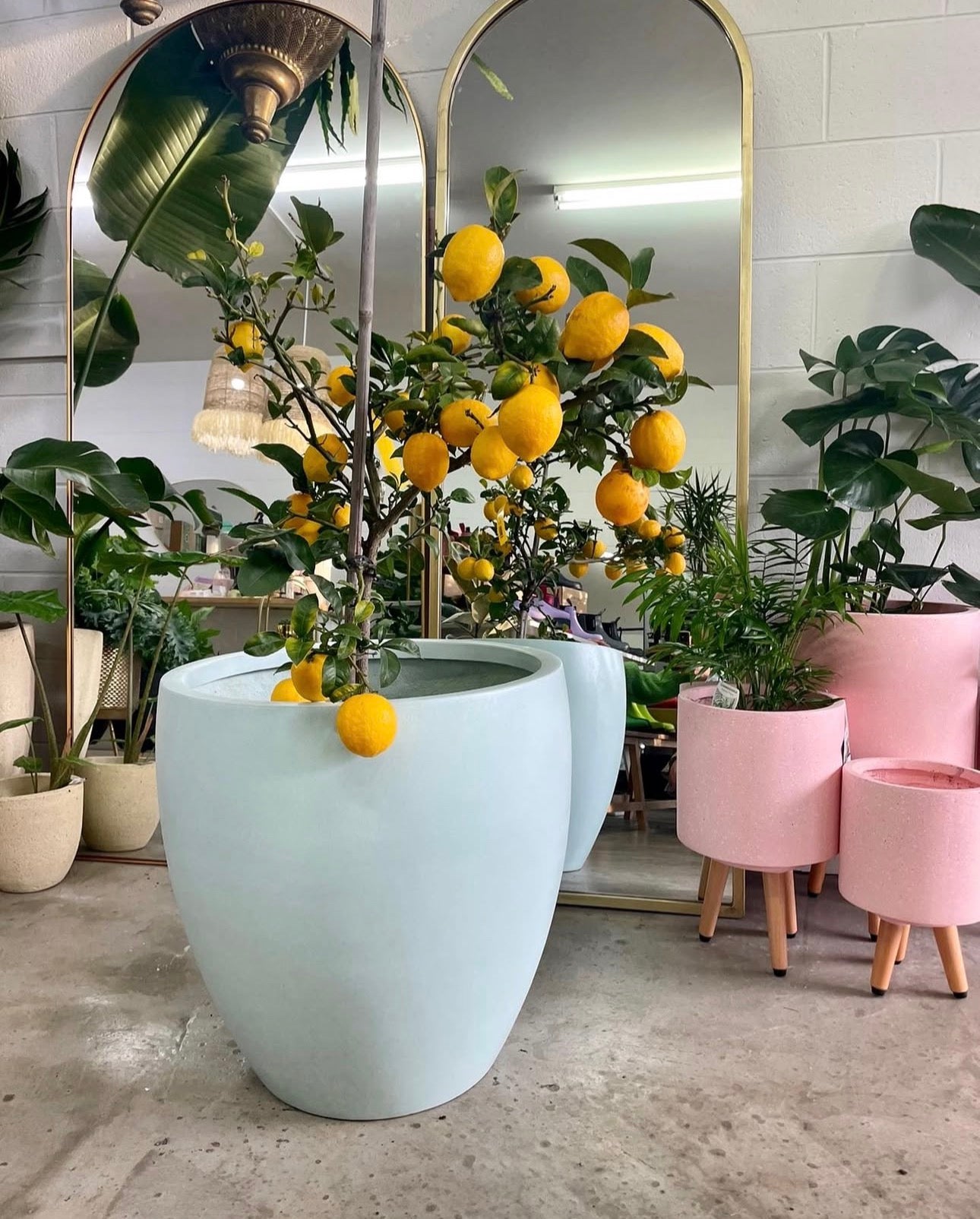 Exteriors
              height=