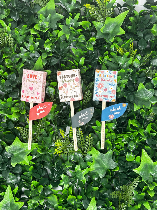 Planting Pops - Good Thymes